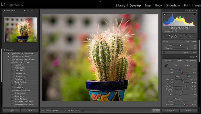 crack adobe lightroom 6